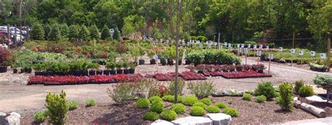 wholesale landscape supply in grove ok area
